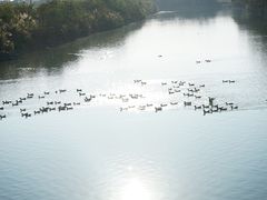 -清远鱼水旅游风景度假区