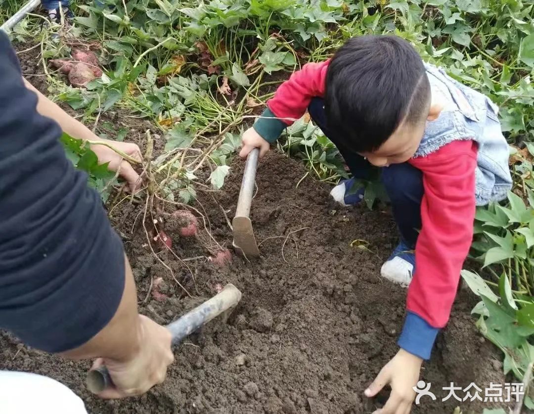 国庆杭州7日游，避开人群，不去西湖我们去哪里玩？（一路向南）