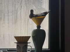 -贝壳新青年公寓