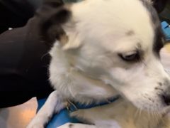 -My Way Town买味堂·东南亚餐厅(亦庄店)