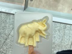 -天津自然博物馆