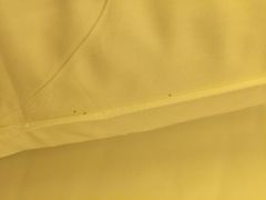 潮湿虫1-常熟理文铂尔曼酒店