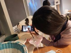 -Cappucimeow猫咪咖啡馆(韦伯时代店)