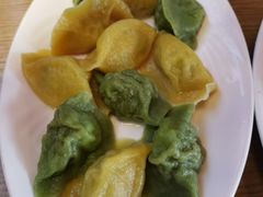-船歌鱼水饺(华联万柳店)