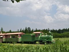 -长田漾湿地公园