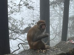 -庐山风景名胜区