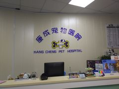 -康成宠物医院24H·CT·核磁共振