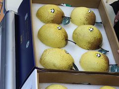 -中国农业博物馆