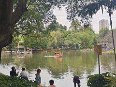 -晓港公园