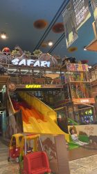 -卡通尼·Safari非洲探索乐园·生日会(金桥国际商业广场店)