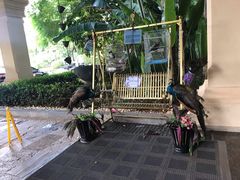 -西双版纳融创皇冠假日度假酒店