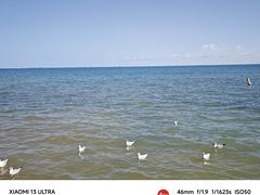 -青海湖国家重点风景名胜区