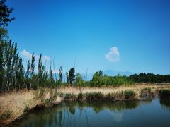 -野鸭湖国家湿地公园