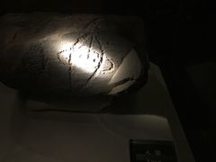 -宁夏博物馆