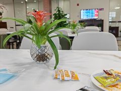 -桃仙机场头等舱休息室