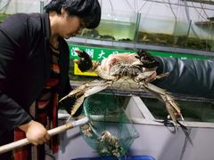 -喜洋洋蟹庄(阳澄湖店)