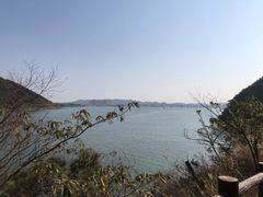 -羚羊峡古栈道森林公园