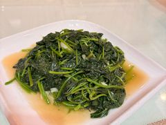 -新世纪大酒楼·30年南海菜