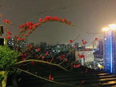 -萨芭蒂高空花园餐酒吧