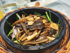 -臻品汇-镇江菜-河豚(大润发店)