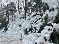 -沂蒙山旅游区龟蒙景区