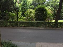 -上海交通大学医学院附属瑞金医院(总院)
