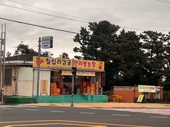 -西归浦每天偶来市场