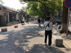 -北京国子监胡同