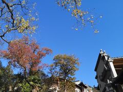 -塔川景区