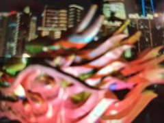 -新龙船黄浦江餐饮游船官方自营店