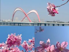 -艾溪湖湿地公园
