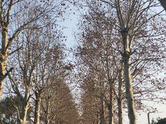 -重庆中央公园(渝北区)