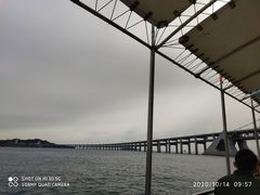 -大连星海广场音乐喷泉