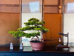-湘上湘(正大中心总店)