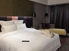 -南京禄口机场雅高铂尔曼大酒店