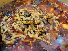 -黑竹香鸡(营和巷店)