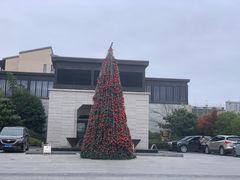 -上海崇明金茂凯悦酒店