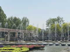 -石家庄市植物园