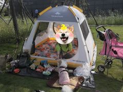 -迪卡侬(徐泾店)
