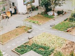 -柞水乾佑红门家菜