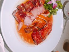 -南枝记