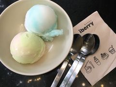 -莓园冰淇淋店