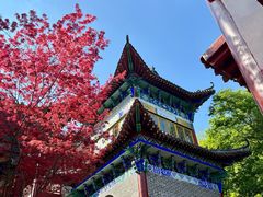 -皇藏峪国家森林公园