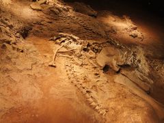 -世界恐龙谷景区