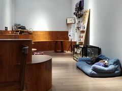 -有猫主题·治愈系猫咖(曾厝垵店)