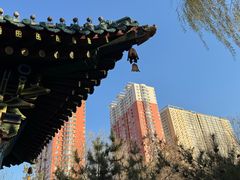 -迎泽公园