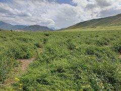 -扁都口生态休闲旅游区