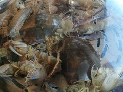 -港畔赶海蒸汽海鲜烧烤自助(仙螺岛店)