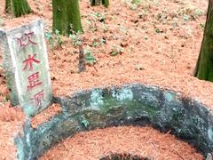 -波尔登森林公园