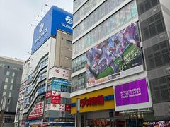 -秋叶原电器街